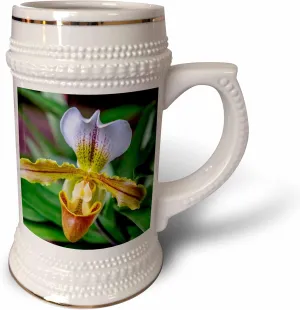 3dRose 22oz Stein Mug - Venus Slipper Orchid Flower
