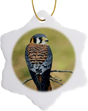 3dRose orn_83579_1 Male American Kestrel Bird NA02 AJE0261 Adam Jones Snowflake Porcelain Ornament, 3-Inch