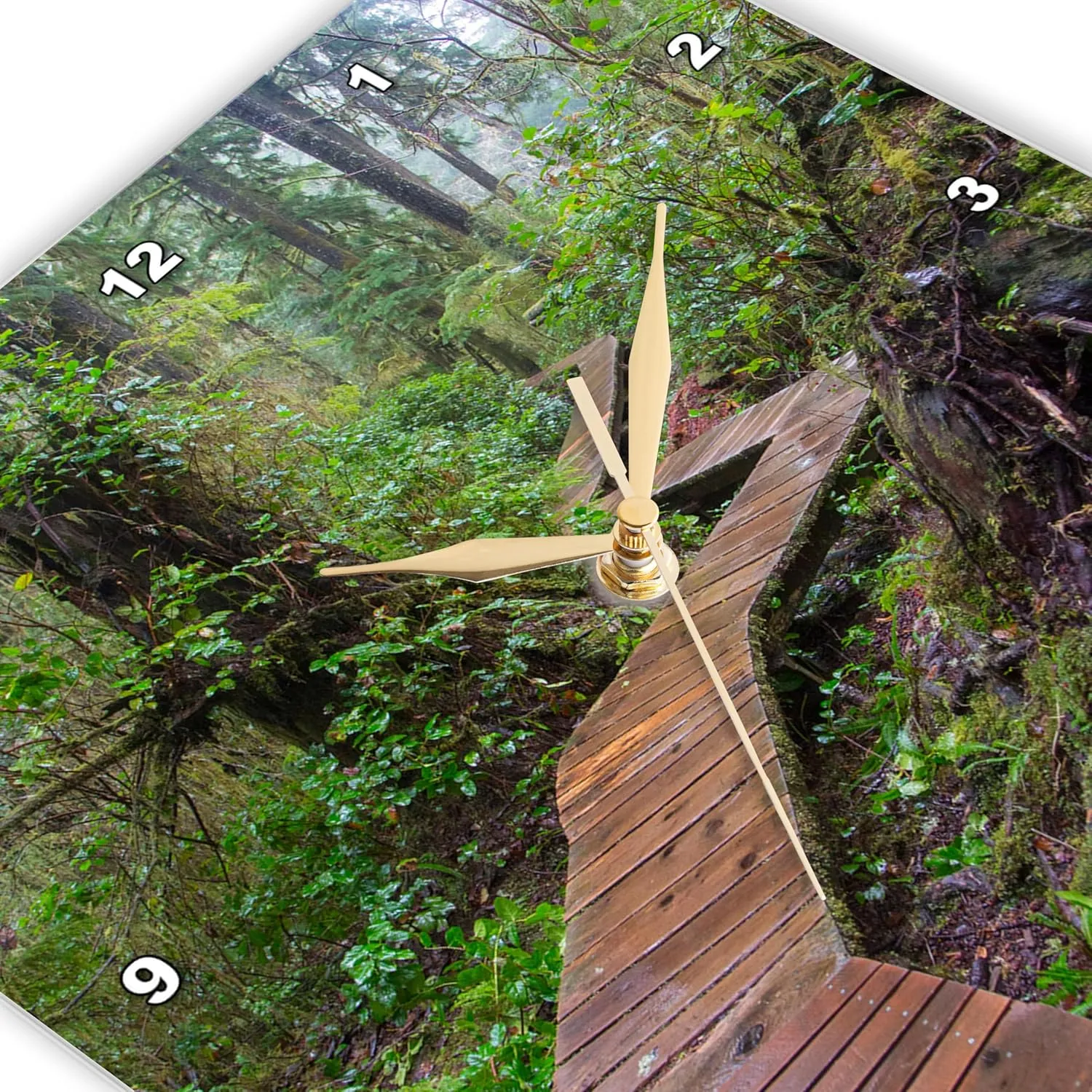 3dRose Wall Clock Silent - 10 inch - Combers Beach Trail, Pacific Rim NP, Tofino, Vancouver, B.C., Canada - Roads