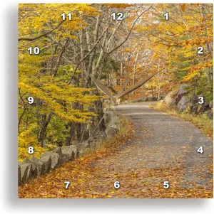 3dRose Wall Clock Silent - 10 inch - Maine, Mt. Desert Island. Carriage Road in Acadia N.P. During Autumn. - Autumn