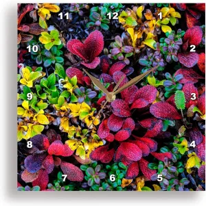 3dRose Wall Clock Silent - 13 inch - Alaska, Noatak National Preserve. Alpine Bearberry on Arctic Tundra. - Alaska