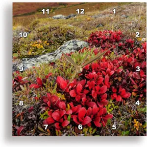 3dRose Wall Clock Silent - 15 inch - Alaska, Noatak National Preserve. Alpine Bearberry in Autumn Colors. - Alaska