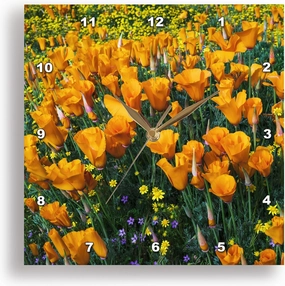 3dRose Wall Clock Silent - 15 inch - California Poppies and Goldfield, Antelope Valley, California, USA. - Flower
