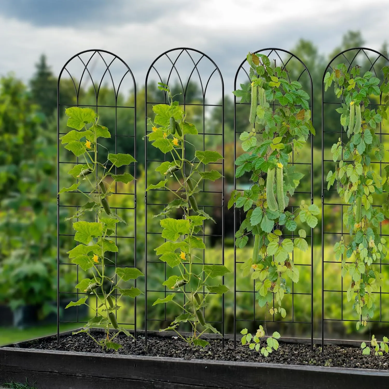4 Pack Metal Garden Trellis for Climbing Plants, Black Metal Garden Trellis for Vines Plant Rose Vegetable Support,Large Decorative Outdoor Trellis