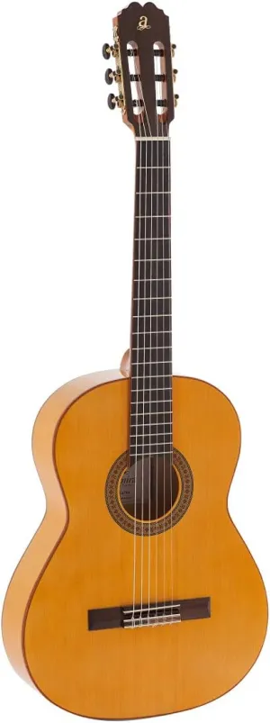 6 String Classical Guitar, Right (TRIANA)