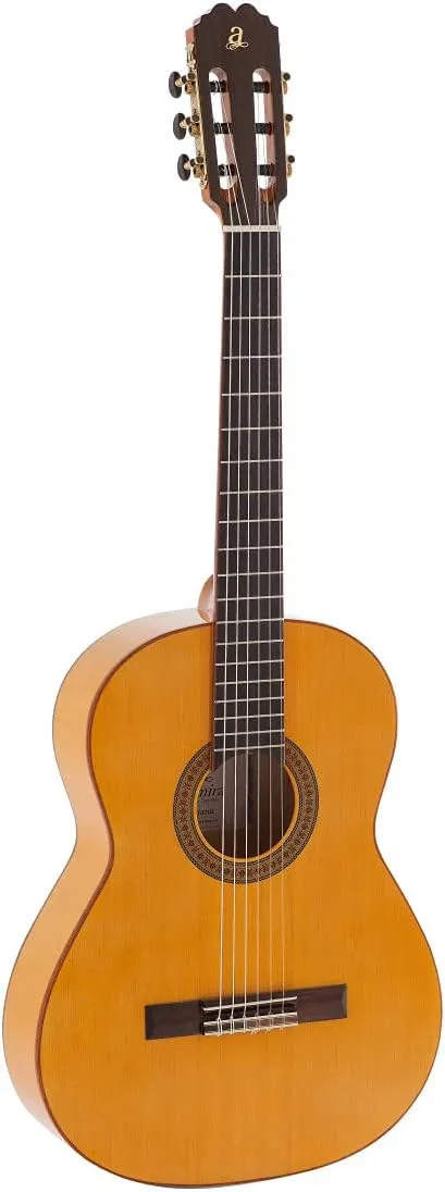 6 String Classical Guitar, Right (TRIANA)