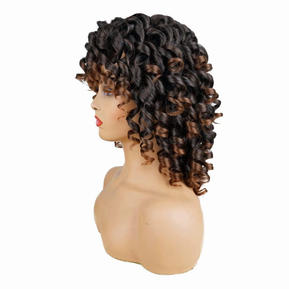 AIDUSA Short Loose Curly Wigs for Black Women Ombre Wig with Bangs Brown Short Curly Wig Afro Synthetic Half Wigs for Women Soft Hair (#T33 Black to Brown)