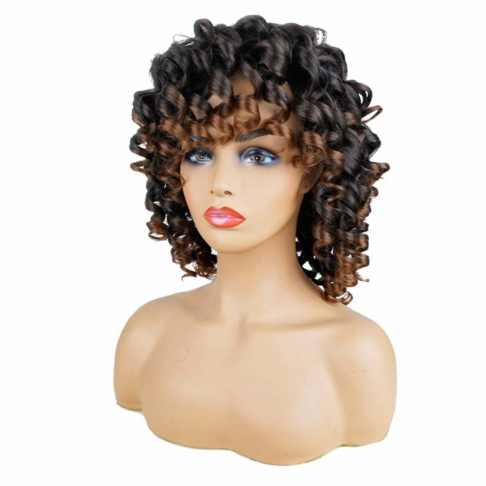 AIDUSA Short Loose Curly Wigs for Black Women Ombre Wig with Bangs Brown Short Curly Wig Afro Synthetic Half Wigs for Women Soft Hair (#T33 Black to Brown)