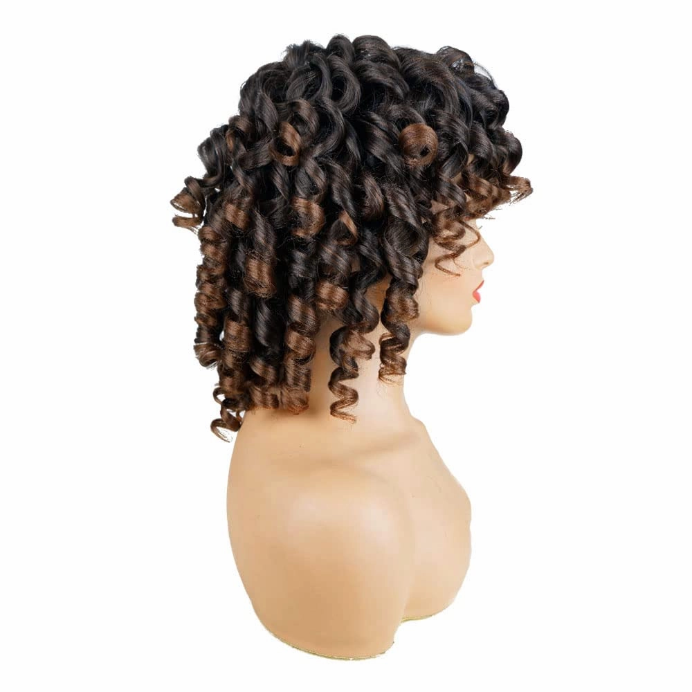 AIDUSA Short Loose Curly Wigs for Black Women Ombre Wig with Bangs Brown Short Curly Wig Afro Synthetic Half Wigs for Women Soft Hair (#T33 Black to Brown)