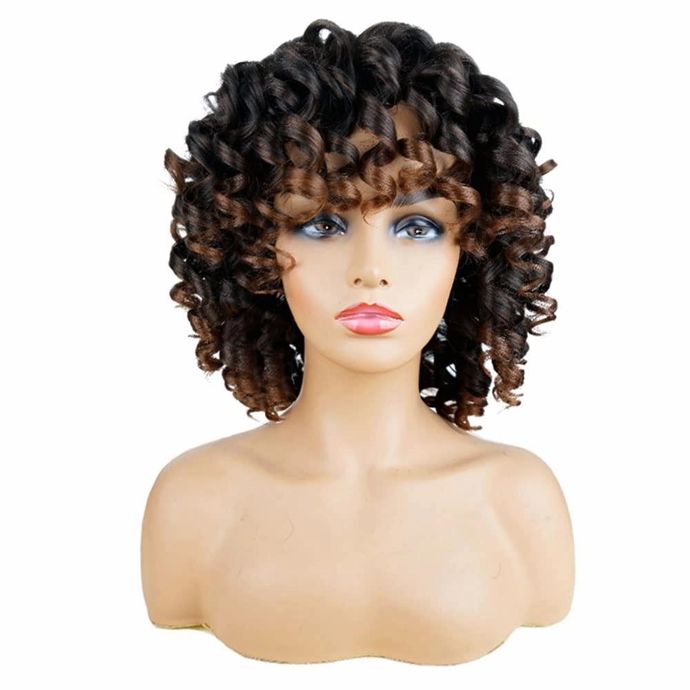 AIDUSA Short Loose Curly Wigs for Black Women Ombre Wig with Bangs Brown Short Curly Wig Afro Synthetic Half Wigs for Women Soft Hair (#T33 Black to Brown)