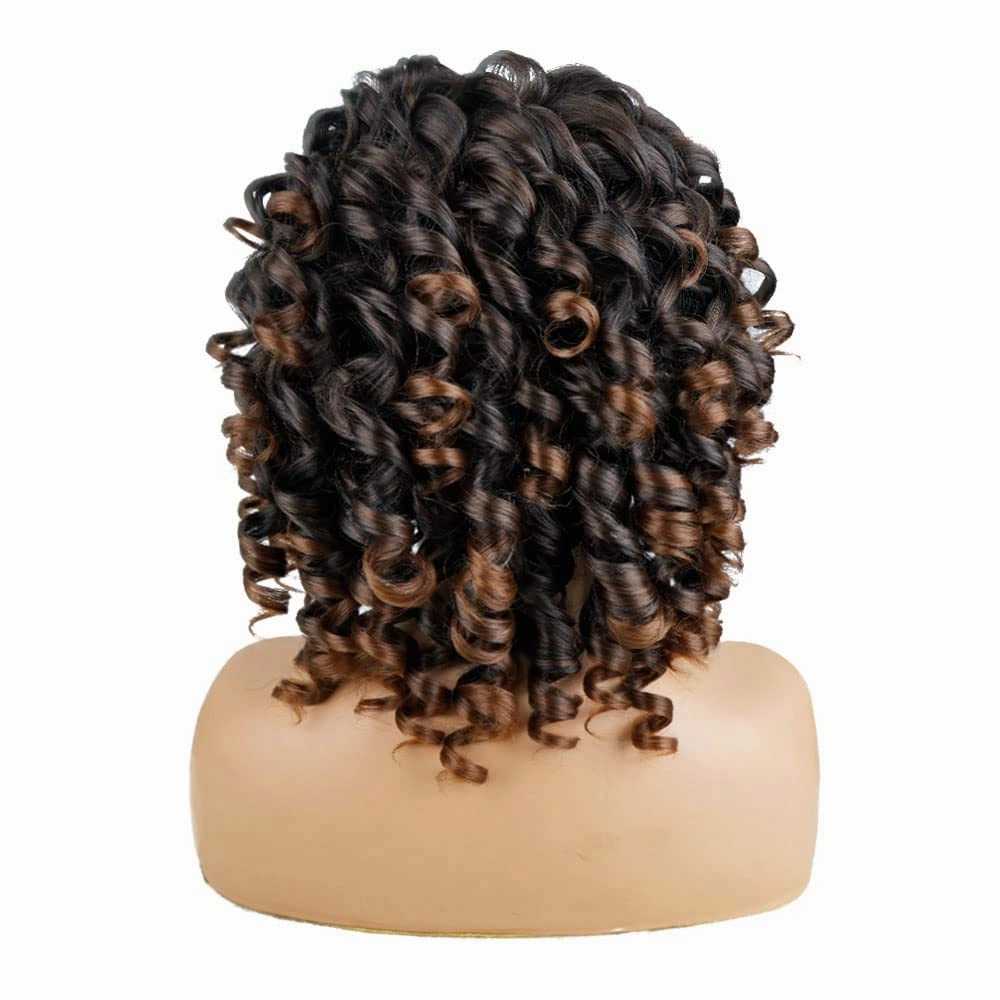 AIDUSA Short Loose Curly Wigs for Black Women Ombre Wig with Bangs Brown Short Curly Wig Afro Synthetic Half Wigs for Women Soft Hair (#T33 Black to Brown)