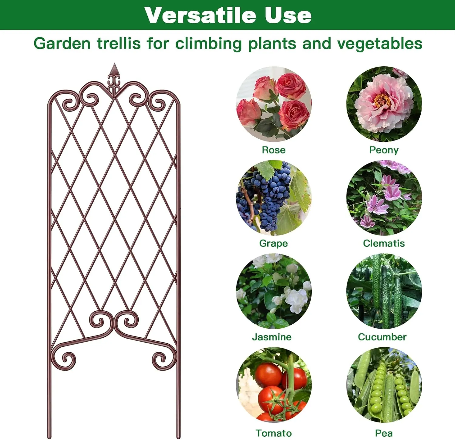 AMAGABELI GARDEN & HOME 2 Pack 60” x 18” Garden Trellis for Climbing Plants Outdoor Garden Fencing Decorative Plant Trellis Vegetables and Rose Trellis for Ivy Cucumbers Bronze