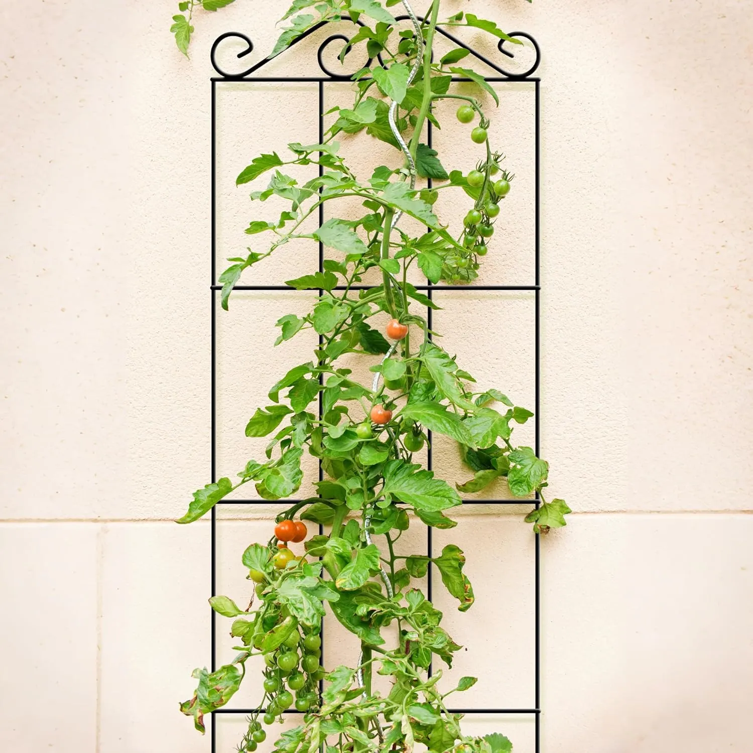 ARIFARO 57.5'' Metal Garden Trellis for Climbing Plants,(Pack of 4) Indoor/Outdoor Sturdy Plant Trellis for Potted Plants,House Plants, Climbing Vines, Black