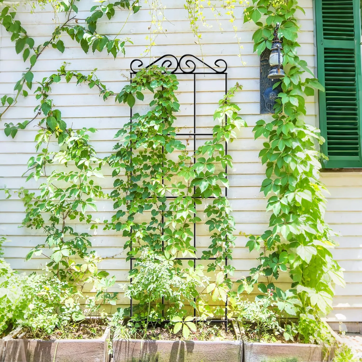 ARIFARO 57.5'' Metal Garden Trellis for Climbing Plants,(Pack of 4) Indoor/Outdoor Sturdy Plant Trellis for Potted Plants,House Plants, Climbing Vines, Black