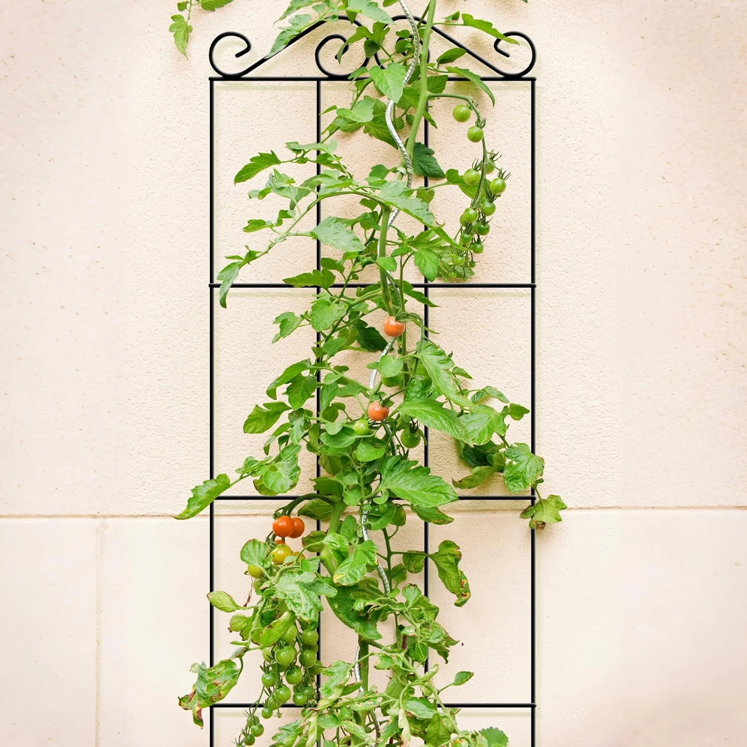 ARIFARO 47'' Metal Garden Trellis for Climbing Plants,(Pack of 4) Indoor/Outdoor Sturdy Plant Trellis for Potted Plants,House Plants, Climbing Vines, Black