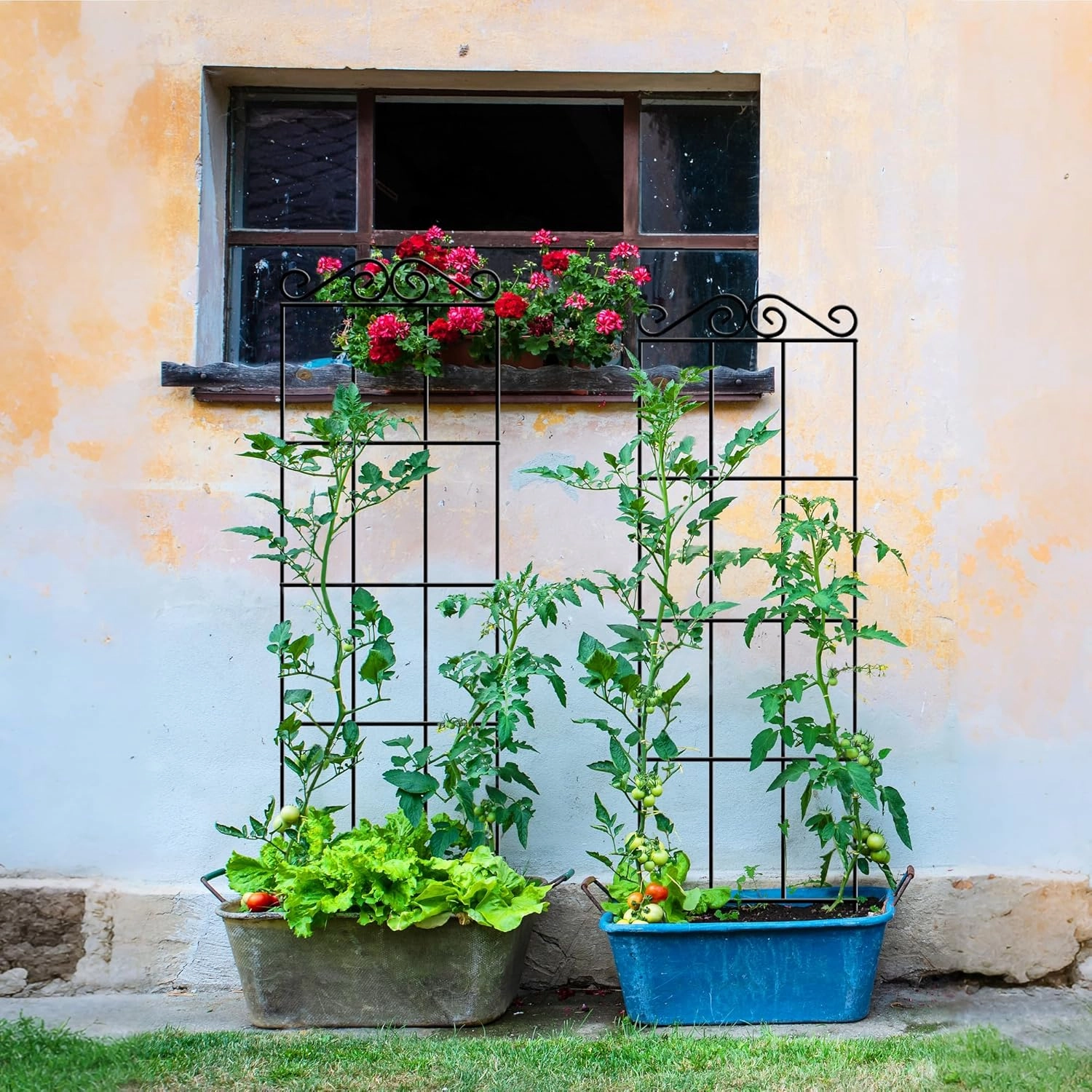 ARIFARO 47'' Metal Garden Trellis for Climbing Plants,(Pack of 4) Indoor/Outdoor Sturdy Plant Trellis for Potted Plants,House Plants, Climbing Vines, Black