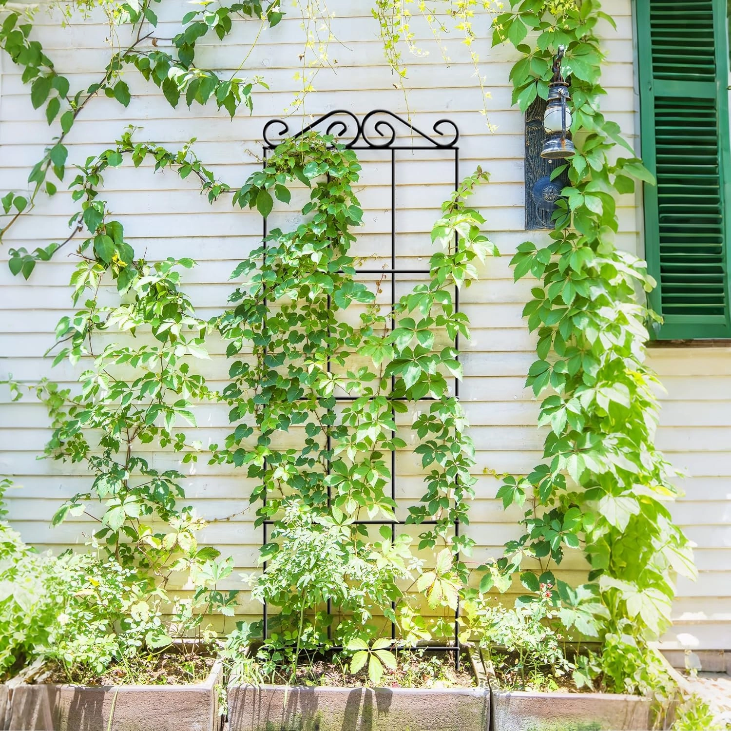 ARIFARO 47'' Metal Garden Trellis for Climbing Plants,(Pack of 4) Indoor/Outdoor Sturdy Plant Trellis for Potted Plants,House Plants, Climbing Vines, Black