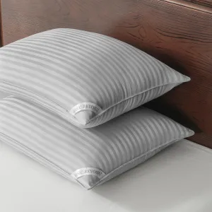 Basic Beyond Standard Size Down Alternative Pillows - Soft Pillows Set of 2 for Back, Stomach or Side Sleepers, Silver, 20x26 Inches