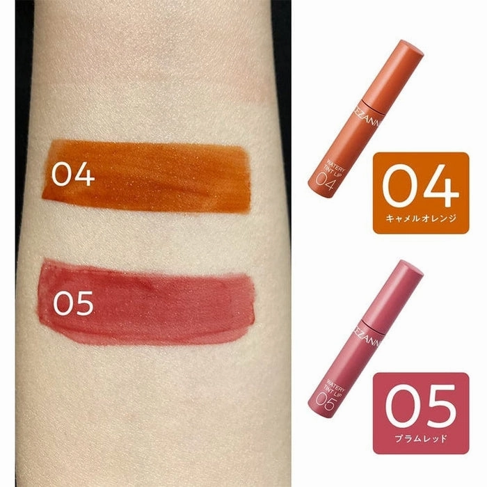 CEZANNE Watery Lip Tint - Lip gloss-tint, color: 05 Plum Red 4g [With alcohol]