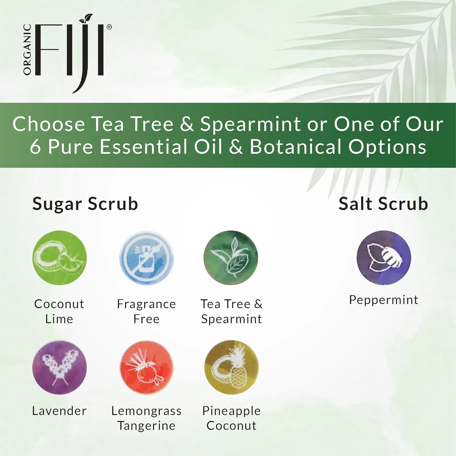 Coconut Oil Infused Sugar Scrub for Face & Body 20-Ounces (20 Ounce (Pack of 1), Tea Tree Spearmint)