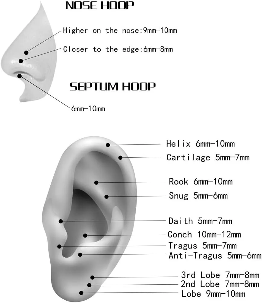 Double Open Stack CZ Nose Ring Hoop 316L Surgical Steel Helix Rook Conch Cartilage Daith Tragus Earrings Hinged Segment Nostril Piercing Septum Clicker 20G 18G 16G Lip Ring