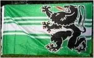 East Flanders 3x5 Ft Outdoor Indoor Country Flag For Decor Garden Yard
