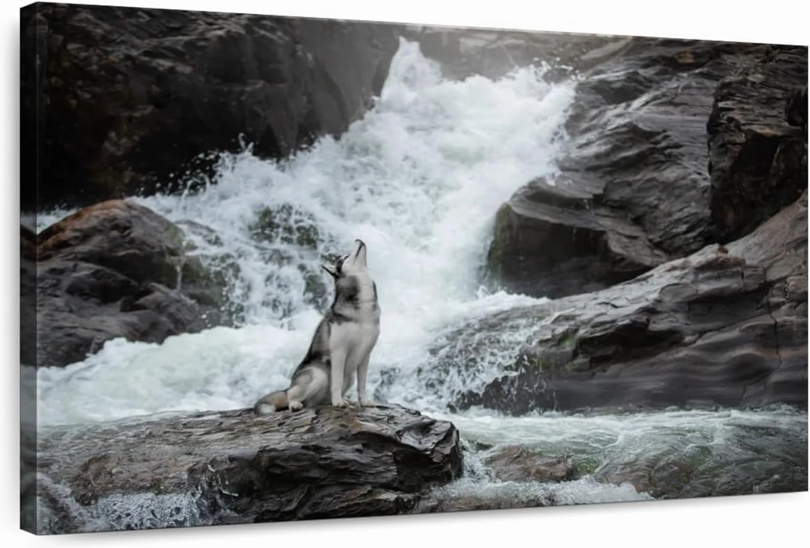 Elephant Stock - Husky By Waterfall Wall Art - Horizontal Canvas Wall Art - Living Room Wall Decor - Photography Nature Canvas Art - Brown And Gray Decor - 12" x 8"