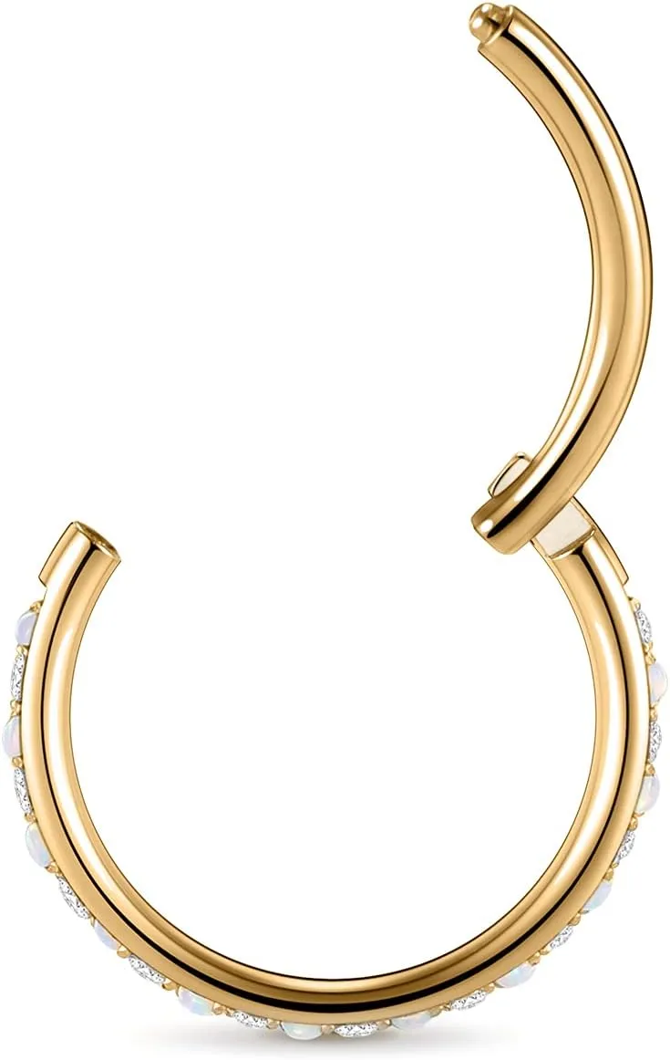 FUNLMO 20G 18G 16G 12G Nose Ring Hoop Conch Rook Daith Helix Tragus Piercing Jewelry 316L Surgical Steel Cartilage Earring Conch Hoop Earring Septum Jewelry Belly Lip Ring 5mm to 14mm