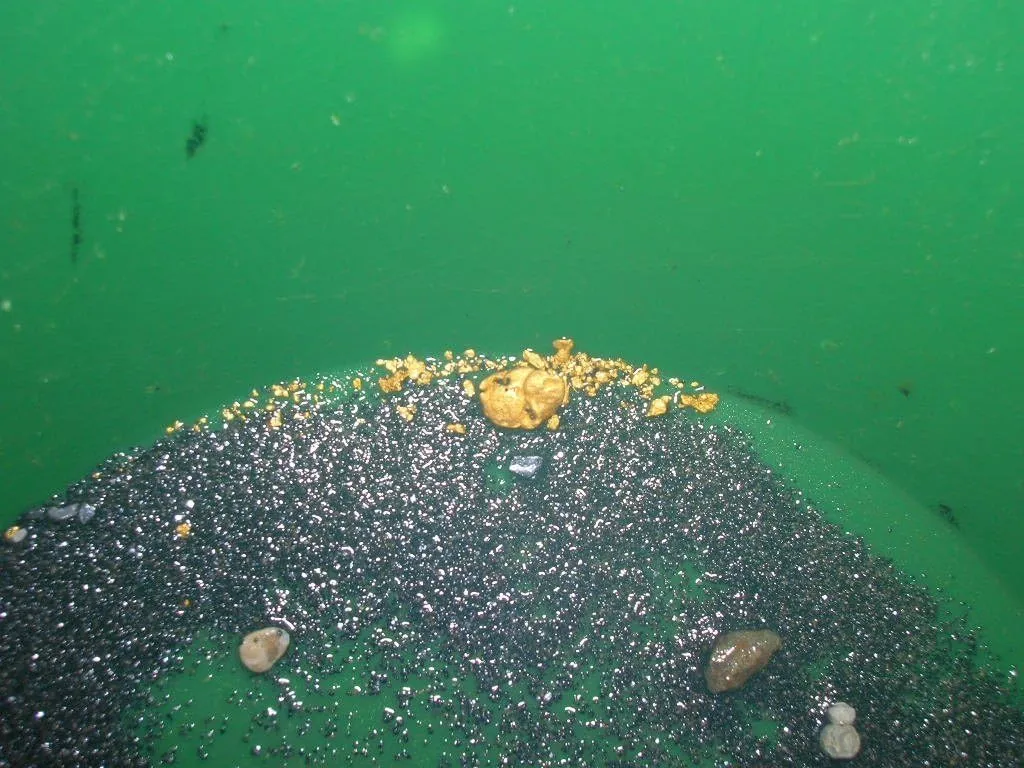 Gold Paydirt 10 LB From Colorado - Unsearched Paydirt Bags - Pan At Home - Guaranteed Gold
