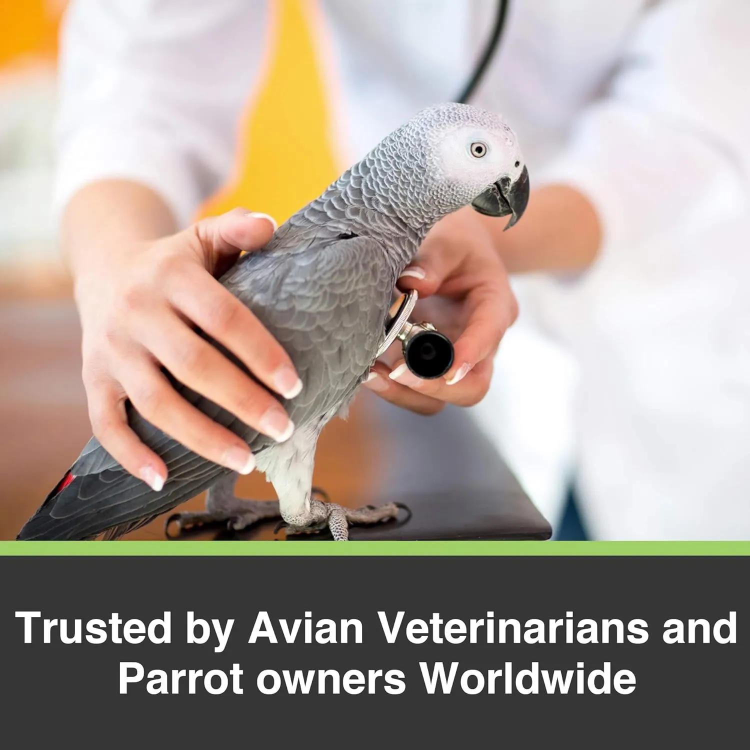 Hagen Tropican High Performance Parrot Food, 3.3 ib Parrot Sticks with Peanuts & Sunflower Seeds and Higher Nutrition Levels