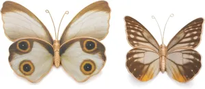Melrose Butterfly and Moth Shelf Sitter Figurines - 5.25" - Set of 2