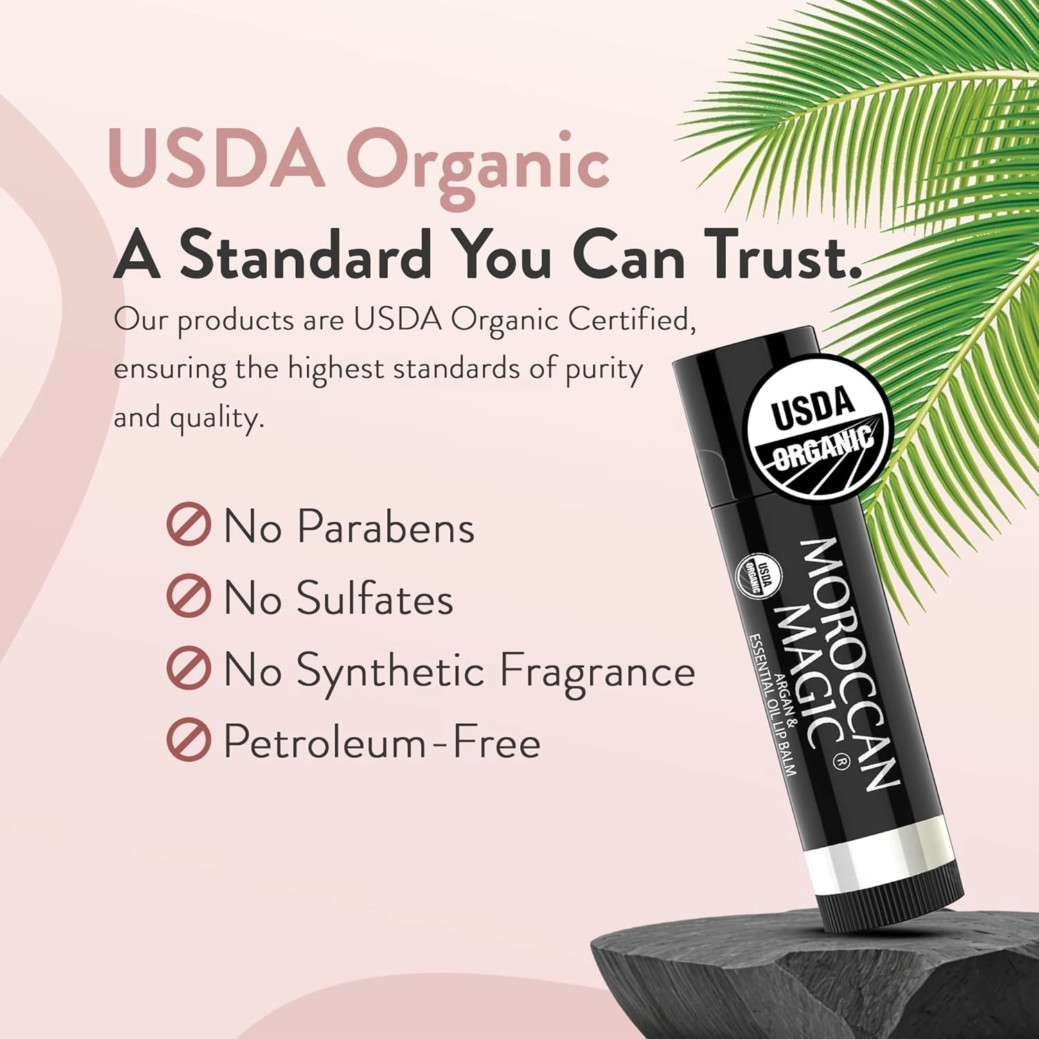 Moroccan Magic Organic Lip Balm Variety Pack Gift Set | Natural Argan and Essential Oils | Smooth | Non-Toxic Cruelty Free | 8 Pack