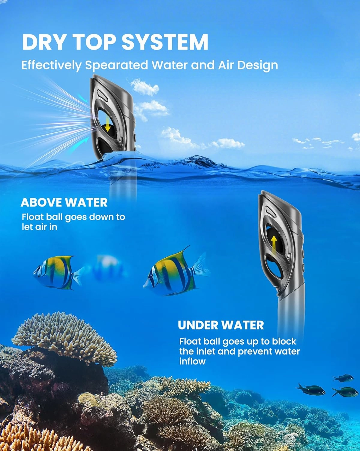 OutdoorMaster Mobula Snorkeling Gear for Adults, Diving Mask and Snorkel Set with Tempered Glass Anti-Fog, TOP Dry Snorkel for Diving Snorkeling Swimming