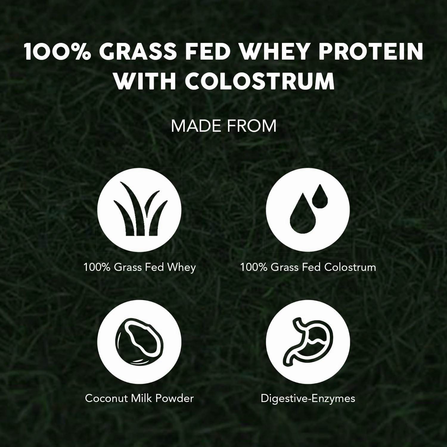 Paleovalley 100% Grass Fed Whey Protein