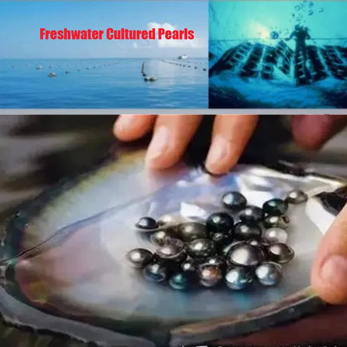 pearls Earrings for women Girl Ladies,Genuine Freshwater's aquaculture Hand-picked AAAA  Pearls Earrings with 18K Gold stud Earrings