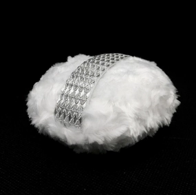 Silver Sierra