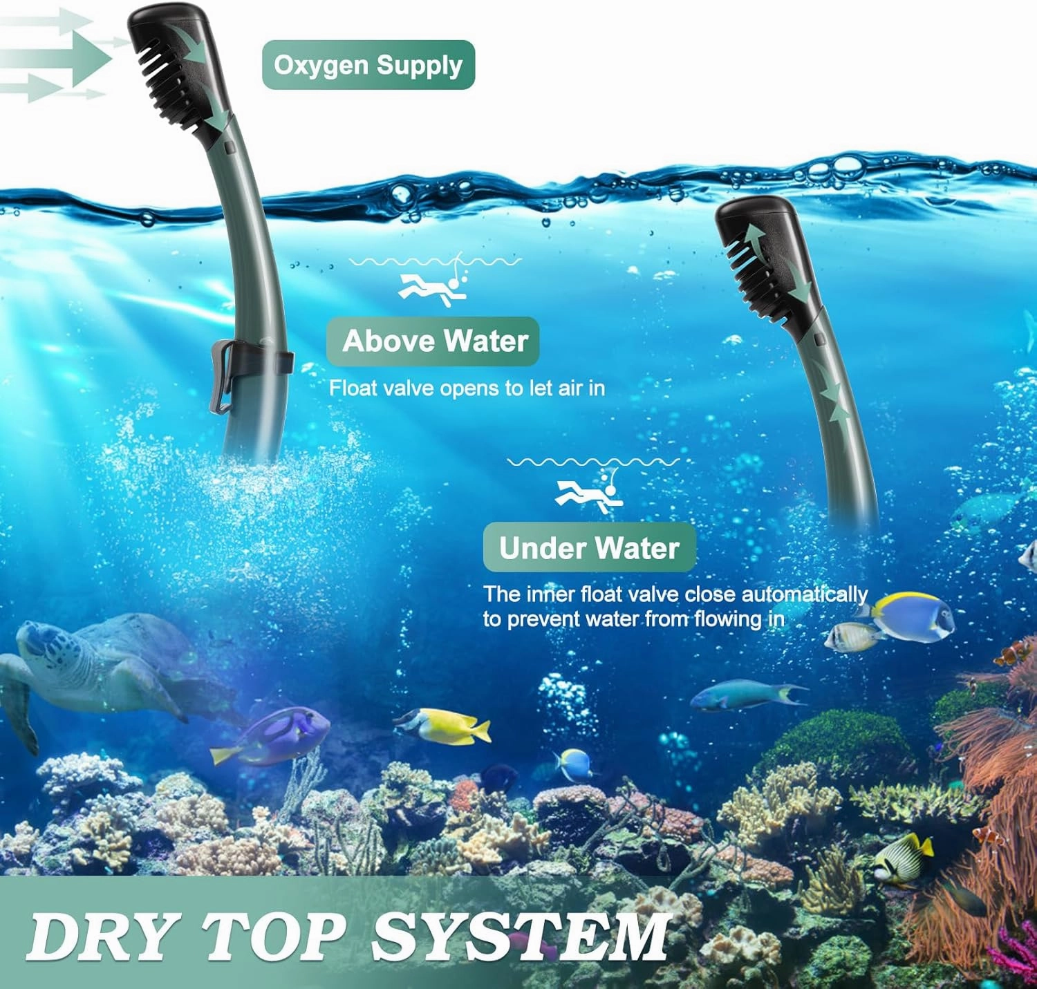 Snorkeling Gear for Adults, Dry Top Snorkel Mask Set 2 Pack Scuba Diving Mask Snorkel Gear Anti Fog Snorkeling Packages Tempered Glass Panoramic View Nose Cover