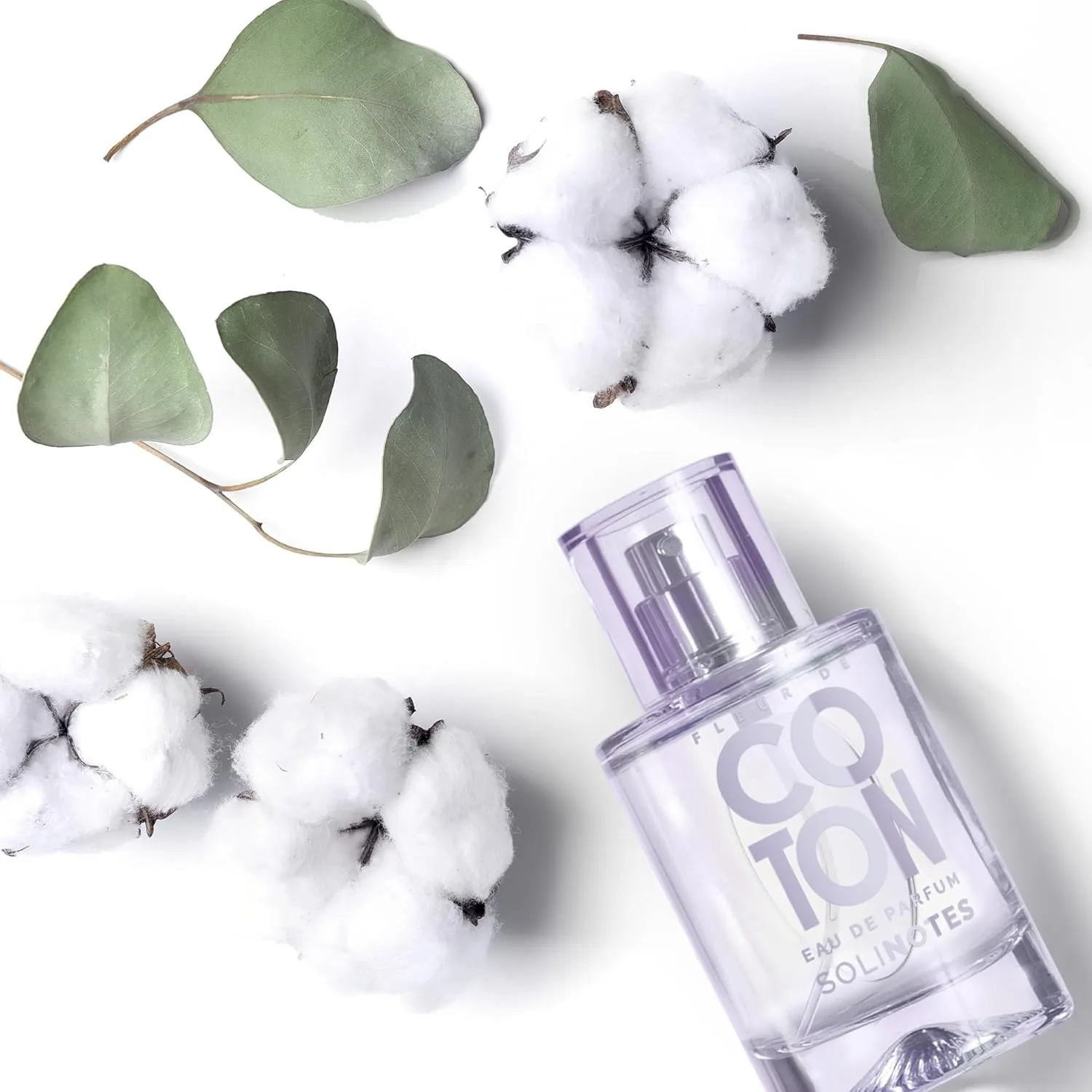 SOLINOTES Cotton Flower Perfume for Women - Eau De Parfum | Delicate Floral and Soothing Scent - Made in France - Vegan - 1.7 fl.oz