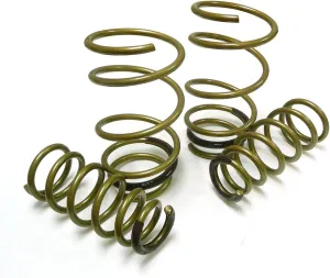 Tein SKHA6-G1B00 High.Tech Lowering Spring for Honda CR-Z