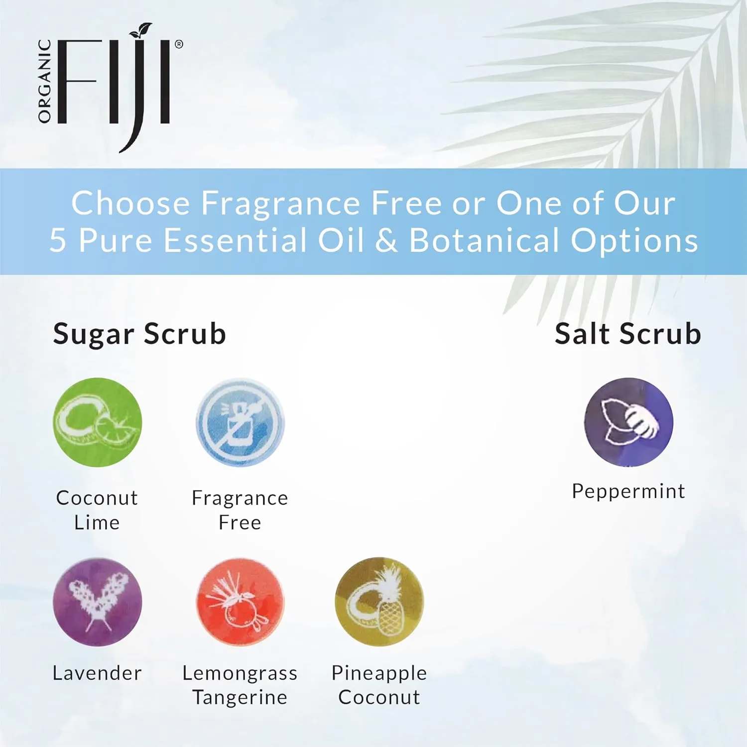 Whole Body Scrub - Infused with Coconut Oil, Exfoliating Sugar Scrub for Smooth and Soft Skin, Exfoliates & Restores Skin's Natural Biosphere, Fragrance Free 20 oz